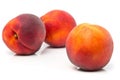 Three uncut, whole, ripe peaches fruit