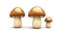 Charming wooden mushrooms crafted from beech wood showcase natural beauty against a clean white backdrop