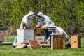 Three unrecognizable beekeepers inspecting brood trays from beehive