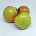 three unripe but fresh looking tomatoes on a white background