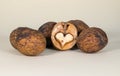 Three unshelled walnuts