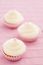 Three vanilla cupcakes Royalty Free Stock Photo