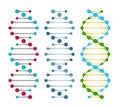 Three variants of double strand DNA molecules