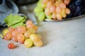 Three varieties of fresh ripe grapes on a gray background. Harvest. Fresh summer fruits. Royalty Free Stock Photo