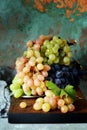 Three varieties of fresh ripe grapes on a gray background. Harvest. Fresh summer fruits. Royalty Free Stock Photo