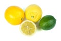 Three varieties of lemons Royalty Free Stock Photo