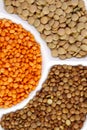 Three varieties of lentils. Background texture of grains of orange, green and brown lentils.