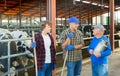 Dairy farmers having conversation in cowshed Royalty Free Stock Photo