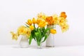 Three vases with yellow tulips on a table on a white background. Royalty Free Stock Photo