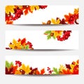 Three vector banners with colorful autumn leaves. Royalty Free Stock Photo