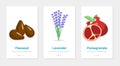 Three vector banners of food suplements. Isolated vertical onboarding templates with fruit and botanical pictures Royalty Free Stock Photo