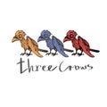 Three vector hand drawn crows. Royalty Free Stock Photo