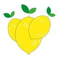 Three Vector Lemons on white background