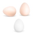 Three vector realistic white and brown eggs. Chicken eggs isolated on white background. Vector Eps10 Royalty Free Stock Photo