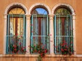 Three Venetian Windows with flowers