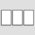 Three vertical frame mock up isolated on png background.