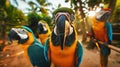 Three vibrant parrots with colorful feathers are perched on a tree branch Royalty Free Stock Photo