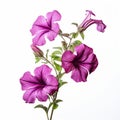 Humorous Photorealistic Compositions: Purple Flowers On White Background