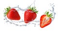 Three Strawberries Splashing in Water on Black Background Royalty Free Stock Photo