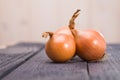 Three vibrant ripe onions