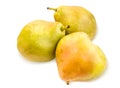 Three vibrant ripe pears with spotty pear skin on white.