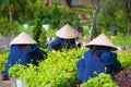 Three Vietnamese women work in garden