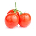 Three Vine fresh juicy tomato with water droplets Royalty Free Stock Photo