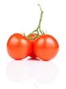 Three Vine fresh juicy tomato on white