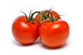 Three vine ripened tomatoes