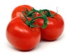 Three Vine Tomatoes Isolated Royalty Free Stock Photo