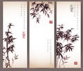 Three vintage banners with bamboo trees. Royalty Free Stock Photo