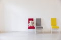 Three old vintage chairs in the interior of an empty white room Royalty Free Stock Photo