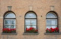 Three vintage windows with stone frames and flowers on shelf. Three Arch Windows Old House with red flowers Royalty Free Stock Photo