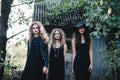 Three vintage witch go to the Sabbat Royalty Free Stock Photo