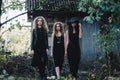 Three vintage witch go to the Sabbat