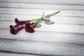 Three violet callas lie on a wooden table, space for text Royalty Free Stock Photo