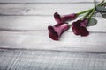 Three violet callas lie on a wooden table, space for text Royalty Free Stock Photo