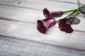 Three violet callas lie on a wooden table, space for text Royalty Free Stock Photo