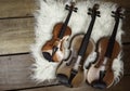 Three violins put on background,show detail and different size Royalty Free Stock Photo