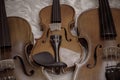 Three violins put on background,show detail and different size Royalty Free Stock Photo