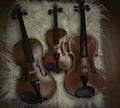 Three violins put on background,show detail and different size