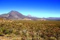 Three virgins volcanoes near santa rosalia in baja california sur III Royalty Free Stock Photo