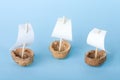 Three walnut boats Royalty Free Stock Photo