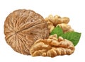 Walnut isolated closeup on white background with clipping path. Nut macro. Walnuts with leaf as package design element collection Royalty Free Stock Photo