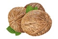 Walnut isolated closeup on white background with clipping path. Nut macro. Walnuts with leaf as package design element collection Royalty Free Stock Photo