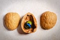 Three walnut shells for a shell game with one turned over with a marble in it Royalty Free Stock Photo