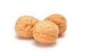 Three walnuts, close up macro, isolated on a white background. Royalty Free Stock Photo