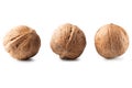 Three walnuts isolated on white background. Clipping Path