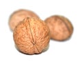 Three walnuts on an isolated white background