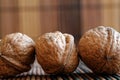 Three walnuts lie on a wooden bamboo table, background for web site or mobile devices. Royalty Free Stock Photo